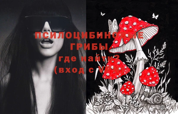 каннабис Алзамай