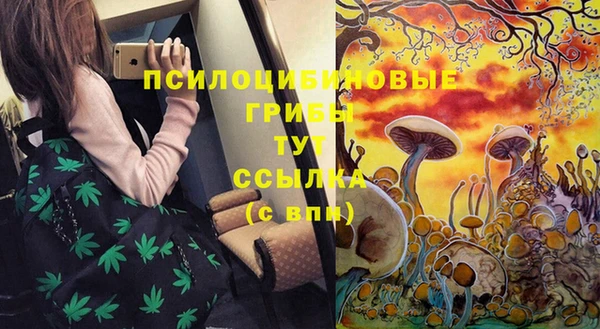 кокаин Алексеевка