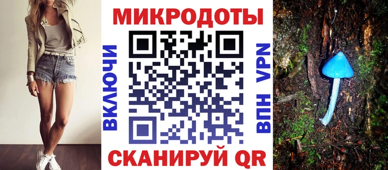 Псилоцибиновые грибы мухоморы  где купить наркоту  Талица 