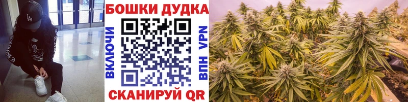 Канабис план  купить наркотик  Талица 